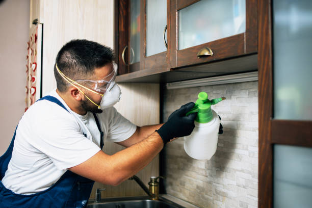 Best Commercial Pest Control Services  in Groves, TX