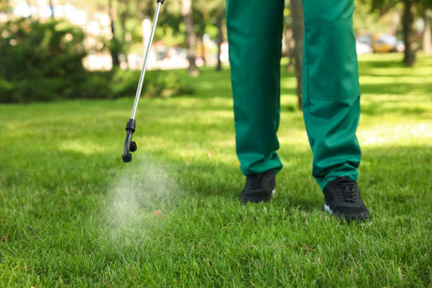 Best Residential Pest Control  in Groves, TX