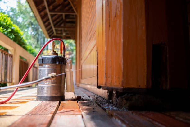 Best Cockroach Control Services  in Groves, TX