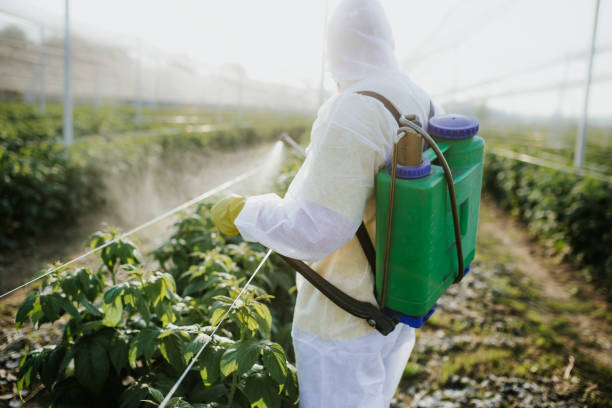 Best Wildlife Control Services  in Groves, TX